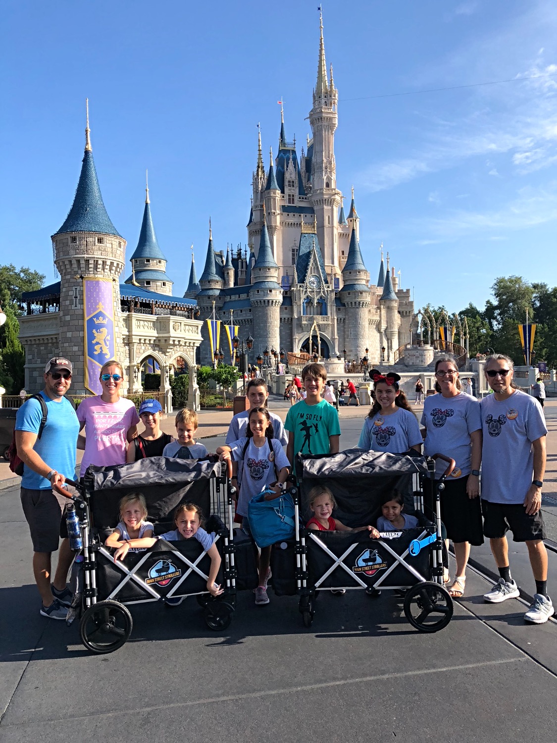 disney wagon rental